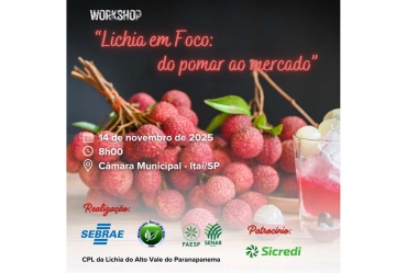 Sebrae-SP realiza Workshop “Lichia em Foco: do pomar  ao mercado” em Itaí 