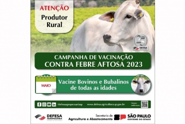 Prazo para vacinação contra Febre Aftosa e Brucelose termina em 31 de maio