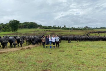 Zootecnia e Veterinária Eduvale apoiam o caso das búfalas de Brotas