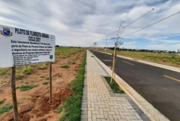 Avaré ganha novo piloto de Floresta Urbana