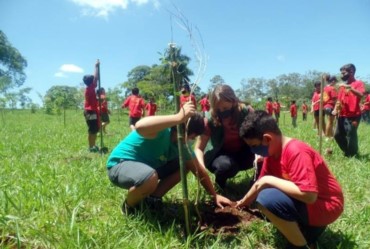  Alunos de projeto social participam do plantio de mudas nativas no Horto de Avaré