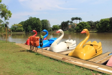 Crianças têm passeio gratuito de pedalinho neste domingo, 20, no Horto Florestal em Avaré