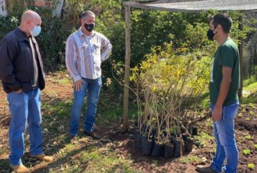 Empresa Verde e Azul doa mudas de árvores para Timburi