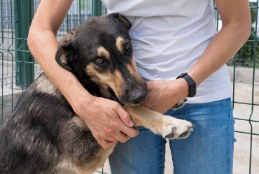 Secretaria de Avaré prorroga até dia 5 prazo para cadastramento de entidades e voluntários