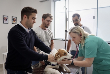 HVET Eduvale inicia atendimentos aos animais de estimação