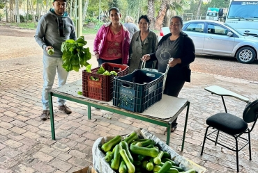 Horta Alimento: Iniciativa une sustentabilidade, alimentação saudável e apoio social em Fartura