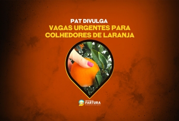 PAT divulga vagas urgentes para colhedores de laranja