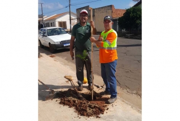 Prefeitura de Taguaí realiza plantio de mudas no Centro Poliesportivo