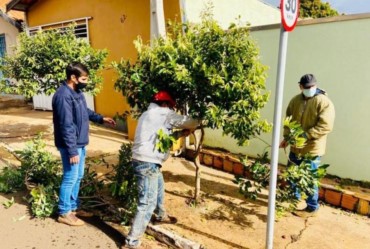 Prefeito Silvinho promove curso de Podas de Árvores em Timburi 