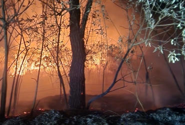 Defesa Civil combate três focos de incêndio em menos de 24 horas no vicinal sentido Ribeirão Bonito