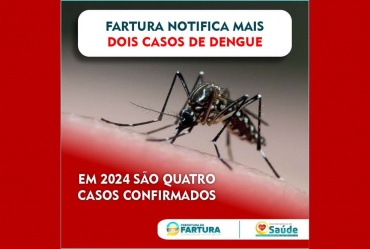 Fartura notifica mais dois casos de dengue