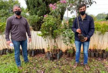 Timburi promove ações voltadas à semana do Meio Ambiente 