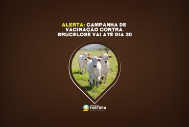 Agricultura alerta: Campanha de Vacinação contra Brucelose vai até dia 30