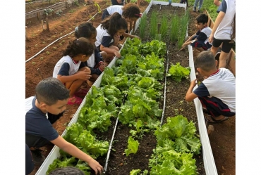 Horta escolar coloca alunos como protagonistas em projeto de educação ambiental em Avaré