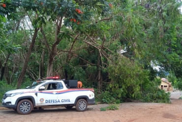 Fartura sofre danos com forte chuva de domingo (29)