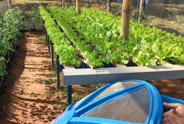 Produtores rurais de Avaré podem participar gratuitamente do Programa ALI Rural