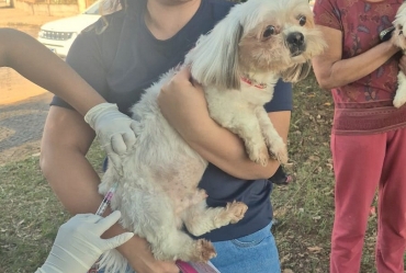 Bairro Bannwart de Avaré tem vacinação contra a raiva na quarta-feira, 25