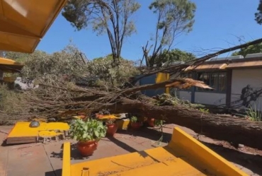 Escolas têm aulas suspensas para retirada de árvores e postes que caíram durante chuva em Ourinhos