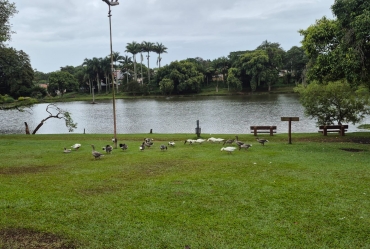 Corrida do Trabalhador acontece nesta sexta, 1º de maio, a partir das 8 horas