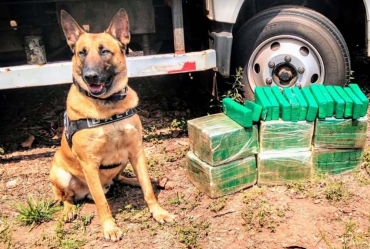 Polícia apreende drogas em guincho que estava em pátio e iria para leilão