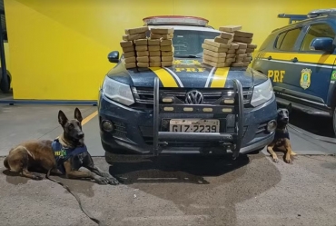 Bolivianos que cruzaram a fronteira são flagrados por cães farejadores com 54 kg de pasta base de cocaína em rodovia de Ourinhos
