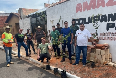Taguaí inicia projeto de arborização urbana na Av. Castello Branco