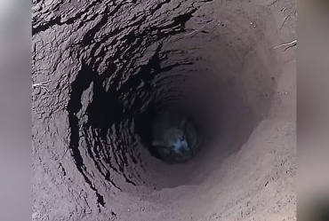 Cachorro é resgatado após cair em buraco de cerca de 5 metros de profundidade em Taquarituba