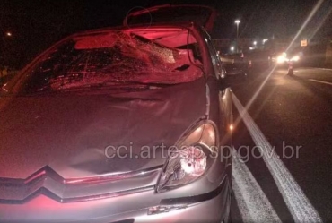 Pedestre morre atropelado ao tentar atravessar rodovia em Cerquilho