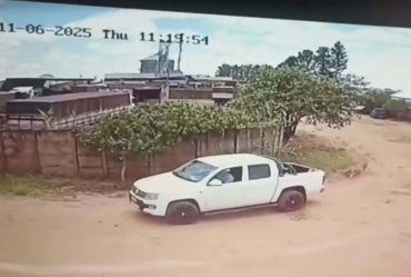 Vice-prefeito de Cerqueira  César invade canil municipal e leva cadela de raça que estava internada