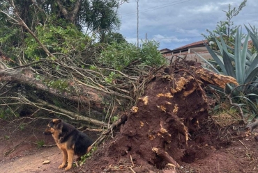Chuvas causam grandes estragos em Sarutaiá: Defesa Civil atuou desde as primeiras horas 