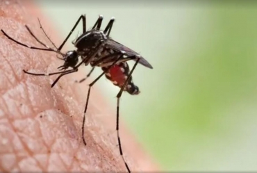 Santa Cruz do Rio Pardo confirma mais duas mortes por dengue neste ano