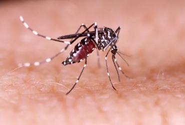 Barão de Antonina  emite alerta após surto de dengue neste mês 