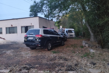 DIG de Avaré prende homem e apreende 1,3 tonelada de maconha em operação 