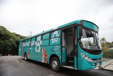 Governo do Estado de SP vai castrar quase 5 mil cães e gatos em mutirões gratuitos em maio 