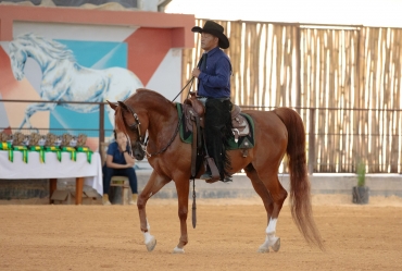 Avaré abre temporada nacional do Cavalo Árabe com exposição durante a Exponel