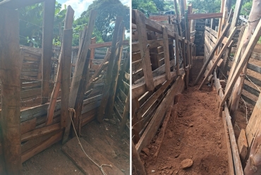 Onda de furtos de gado em Fartura acende alerta sobre segurança rural na região