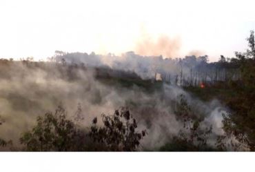 Fogo atinge área de mata e mobiliza bombeiros em Avaré 