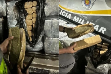 Homem é preso com 268 quilos de maconha escondidos entre móveis em caminhão de mudança