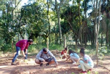 Projeto do Meio Ambiente cria horta orgânica no Horto Florestal