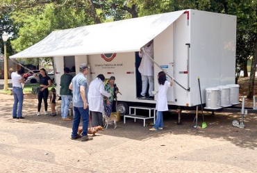 Vacinação antirrábica em Avaré chega a mais de 4,7 mil pets em 2025