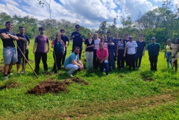 Avaré inicia projeto de arborização com participação de estudantes