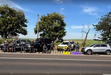 Mulher é presa com mais de 140 kg de maconha em rodovia de Ourinhos