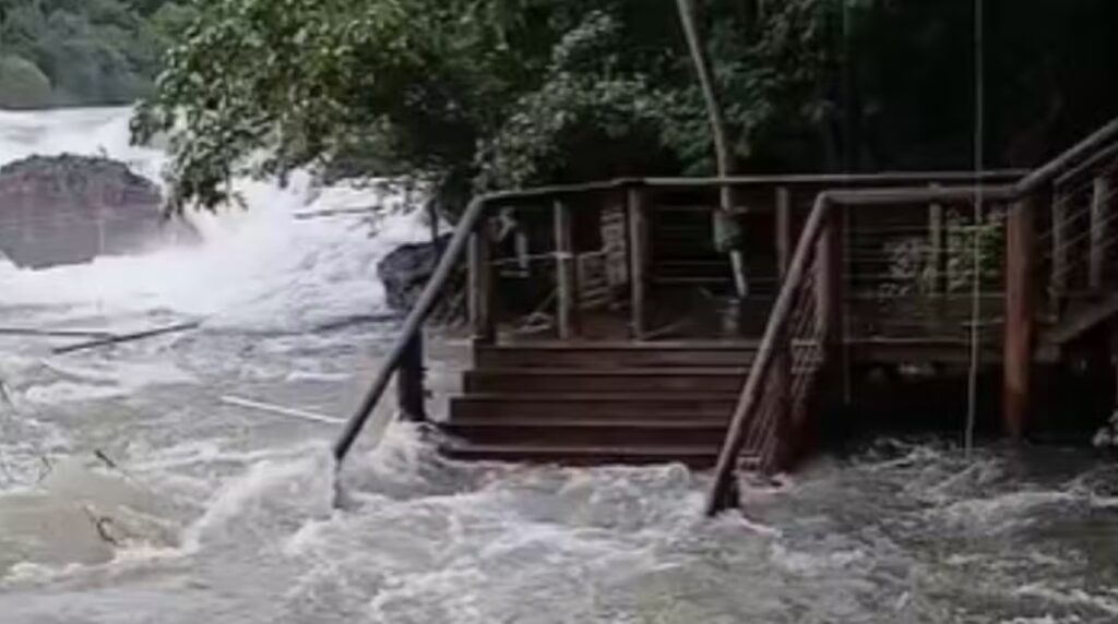 Chuva forte faz Rio Paranapanema subir e prefeitura interdita acesso às margens em parques de Piraju