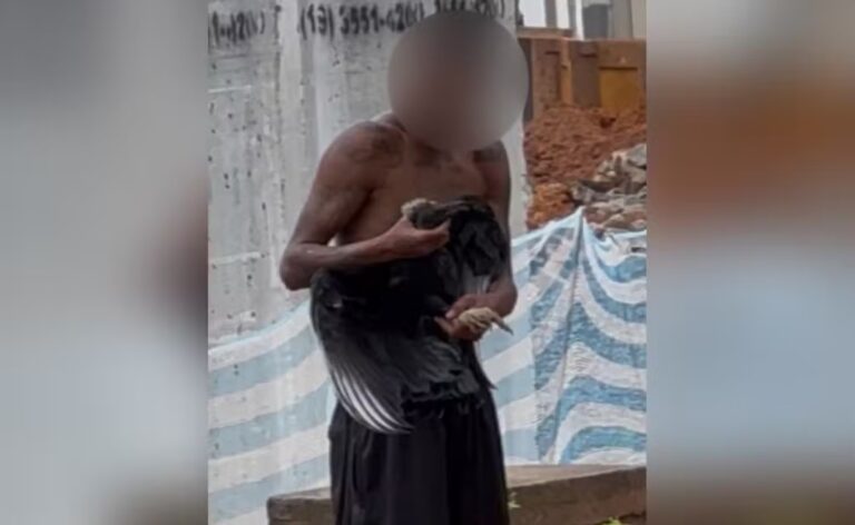 Polícia investiga homem suspeito de dar bebida alcoólica para urubu